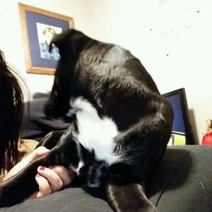 Meet your Posher, Austin